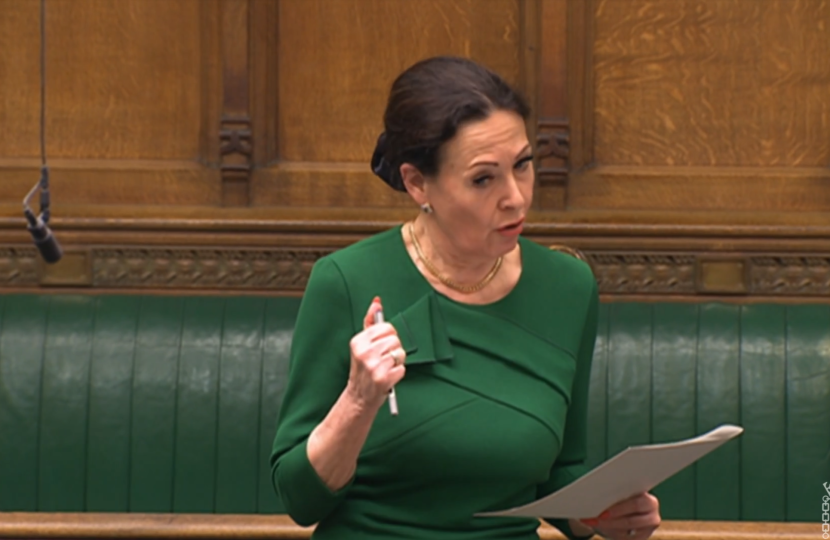 Anne Marie Morris MP makes speech in Parliament